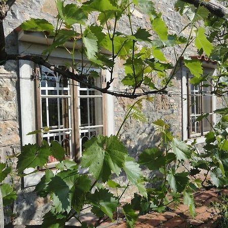 A Lovely House In Vipava Valley Buitenkant foto