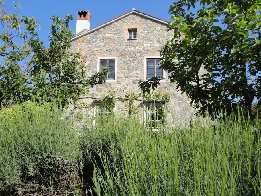 A Lovely House In Vipava Valley Buitenkant foto