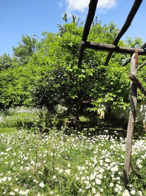 A Lovely House In Vipava Valley Buitenkant foto
