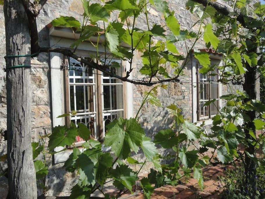 A Lovely House In Vipava Valley Buitenkant foto